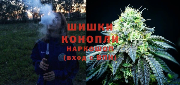 амф Гусиноозёрск