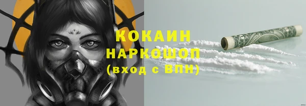 СК Горняк