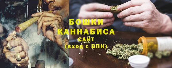 амф Гусиноозёрск