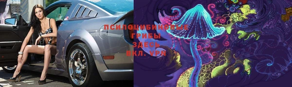 меф VHQ Гусев